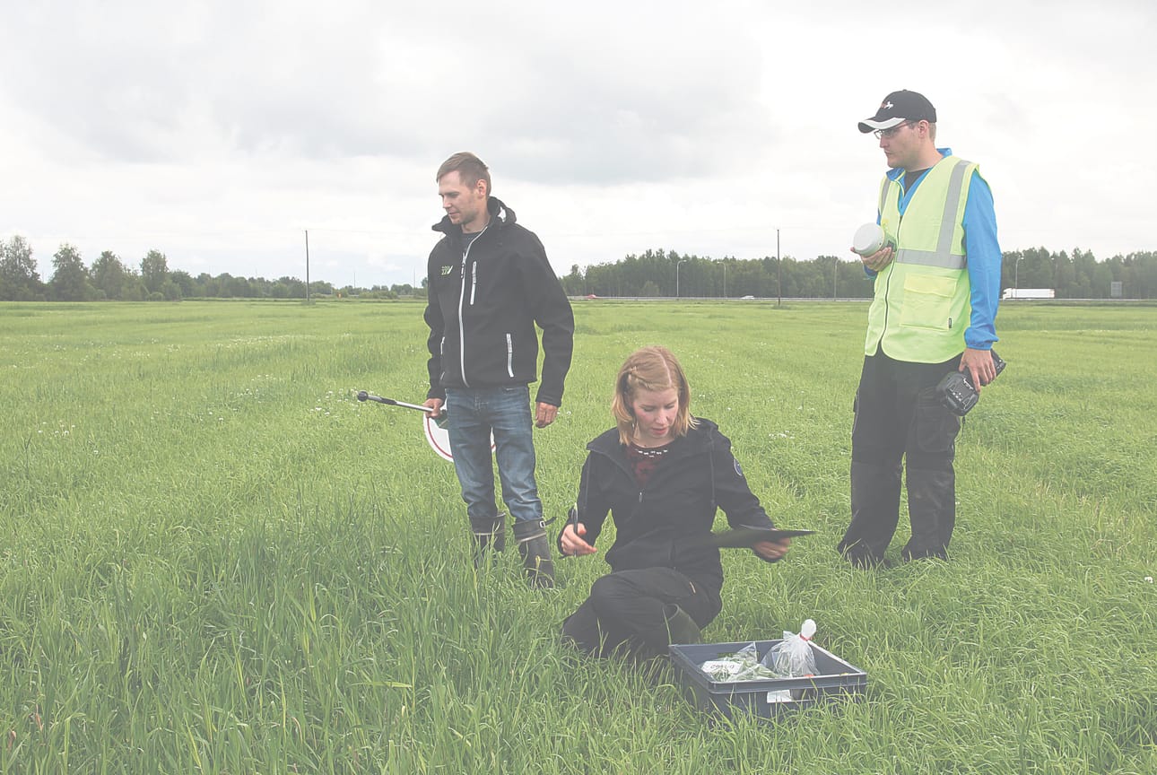 Hitechillä satopanostukset kuntoon. Nurmilauta ja biomassamittaus kertovat satotason, GPS-anturi sijoittaa näytteenottopaikan kartalle. Kun mittaustulokset yhdistää dronen ottamiin kuviin, saa viljelijä seikkaperäistä tietoa peltolohkoistaan. ProAgrian Juha Sohlo, Maria Vanhatalo Lukesta ja Roope Näsi MML:stä pilottipellolla.
