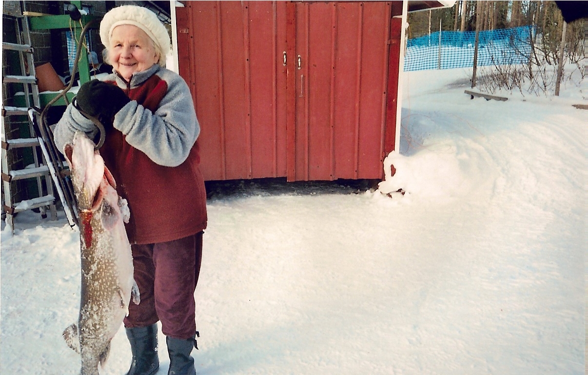 Taimi Lehtiniemi pitelee miehensä Heino Lehtiniemen maaliskuussa 2009 saamaa haukea. Lehtiniemi nosti ison hauen verkolla Suolijärven Ahvenselältä. Lehtiniemen saama 11,2-kiloinen jättihauki oli 1,11 metriä pitkä,sen ympärysmitta oli 58 senttiä.