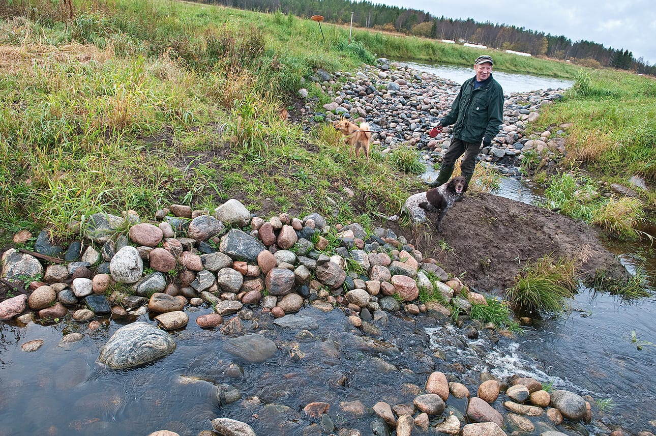 Alpo Lämsä on tehnyt itse kosteikon.