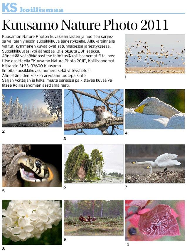 Äänestys Lasten ja nuorten sarjan Kuusamo Nature Photo kuvista alkaa. Äänestys päättyy 31.8.2011. Suurempana kuvat näet paperilehdessä tai tilaamalla Koillissanomien näköislehden.