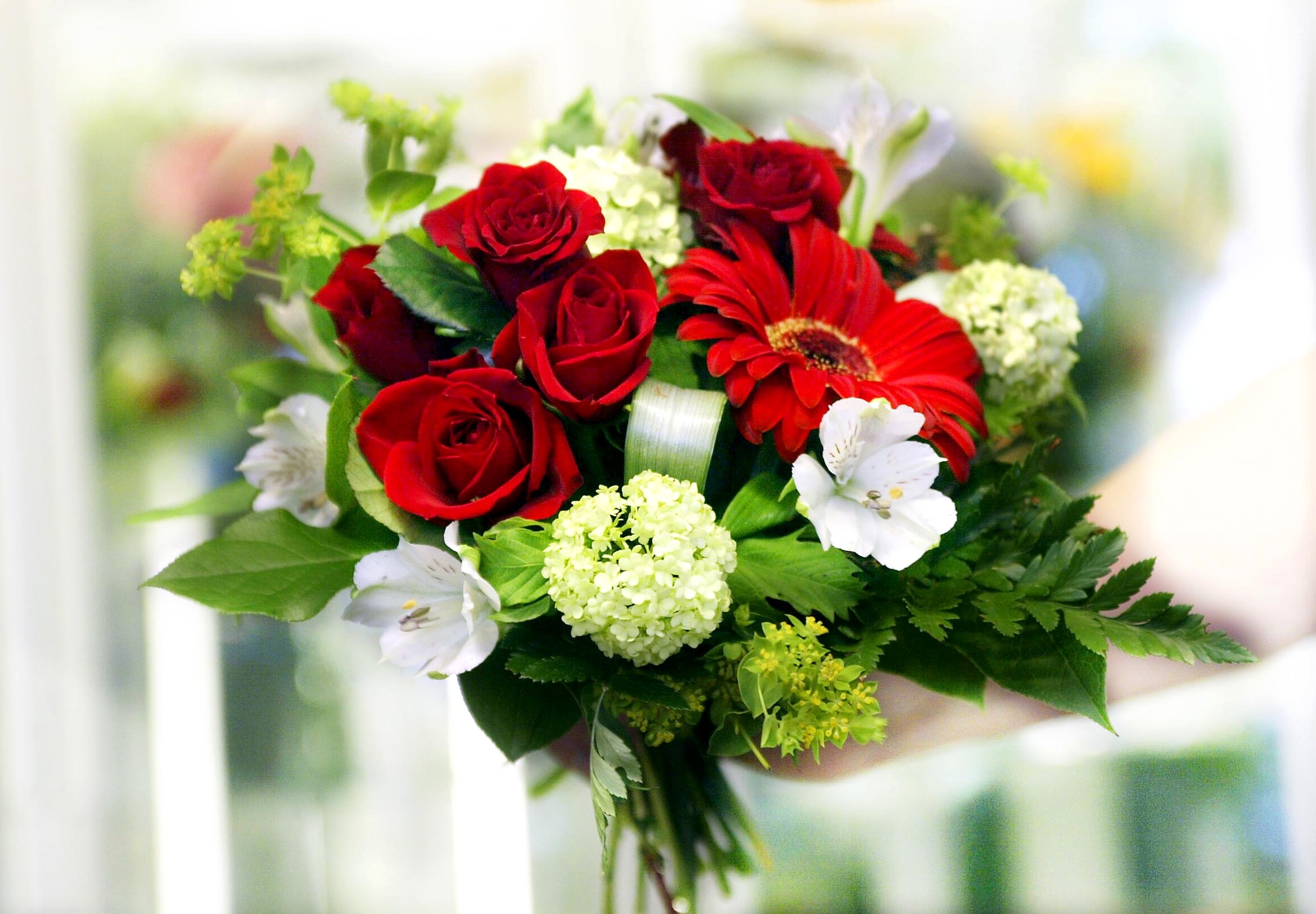 Sedusta valmistunut satoja uusia ammattiosaajia