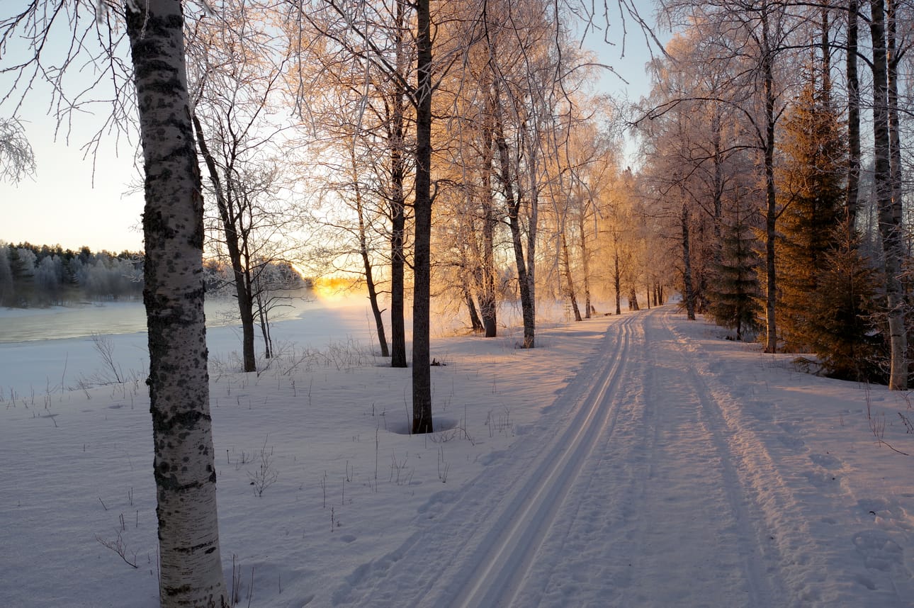 Aamulenkillä Iijoen rantaladulla viime viikolla.