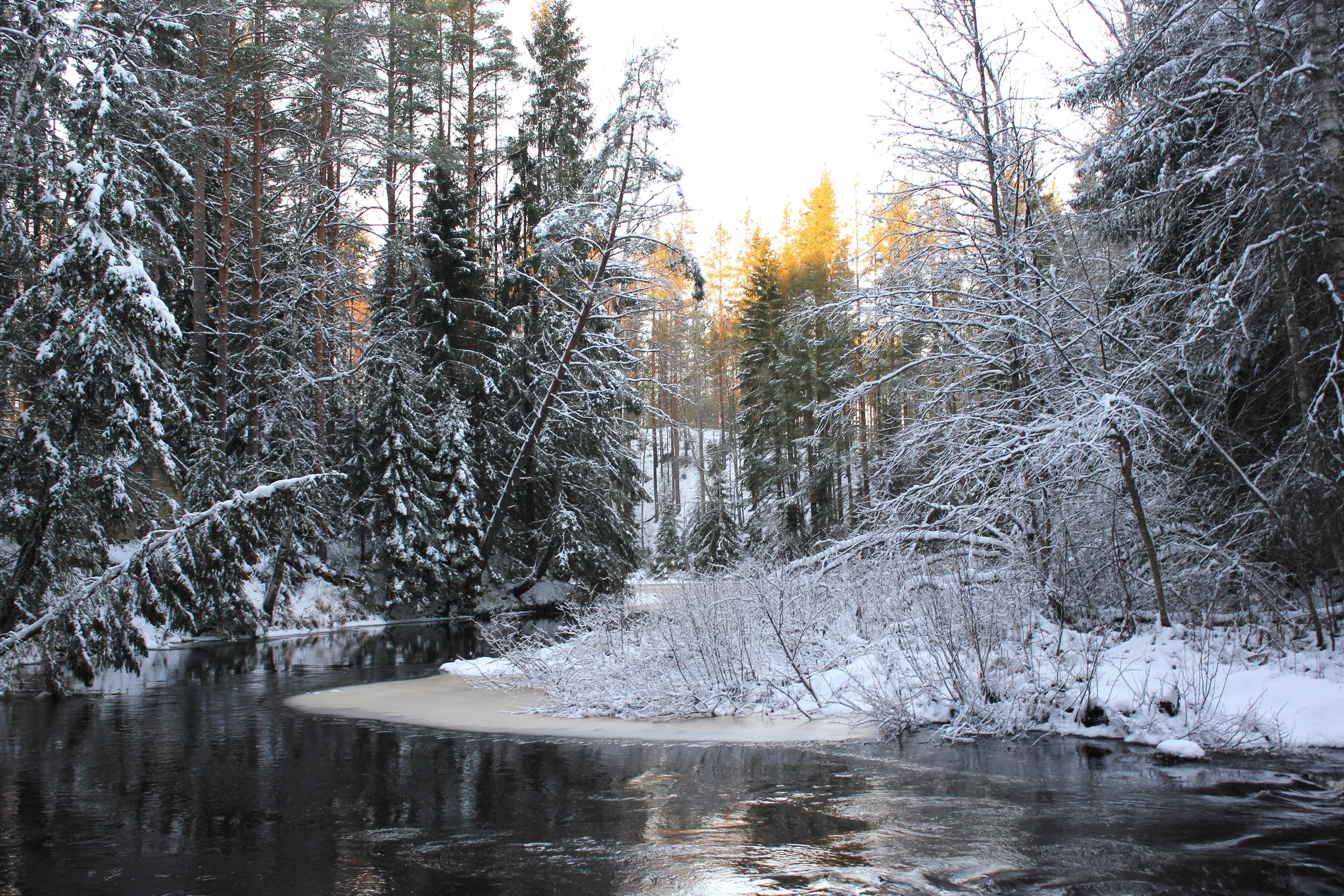 Joulukuun 2025 lukijakuvat