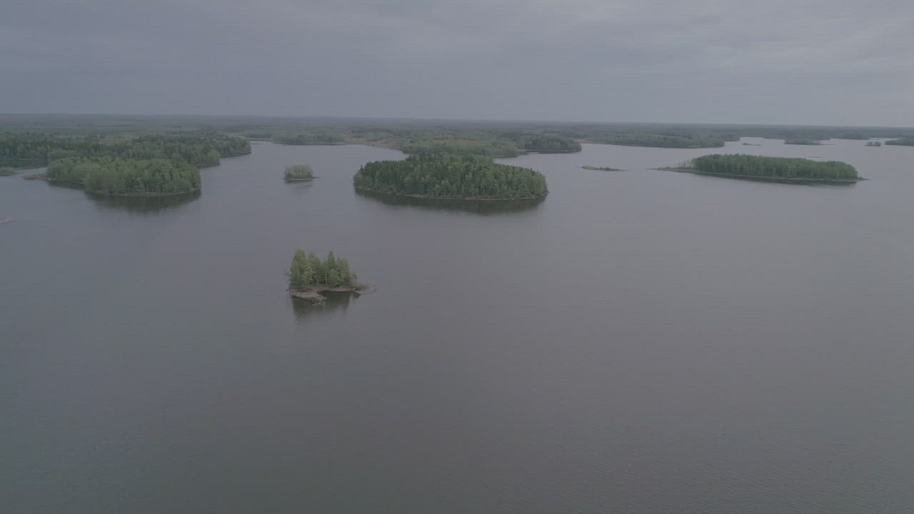 Tekoaltaan vesi värjäytyi vihreäksi – rannoilta löytyy kuolleita simpukoita