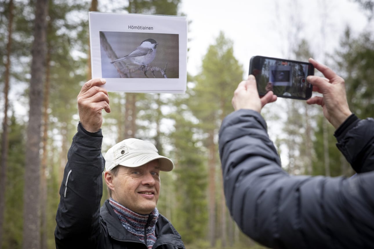 Tinttimetsä-hankkeen projektipäällikkö Jukka Ruutiainen esitteli hömötiaisen tunnistuskuvaa Tinttimetsä-hankkeen retkellä Oulussa toukokuussa 2025.