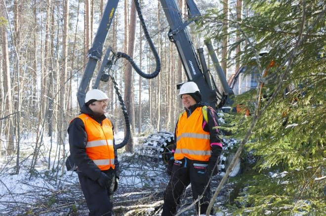 Jussi Laurilan ja Pentti Niemistön mukaan Suomessa on tarvetta eri hakkuutavoille. KUVAT: JARMO PANULA