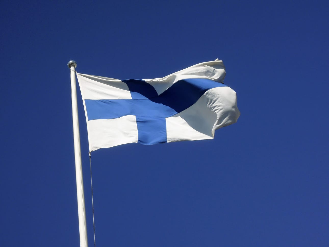 Muistopäivän viettämisen Suomessa aloitti Puolustusvoimain ylipäällikkö C.G.E. Mannerheim, joka antoi käskyn muistopäivästä talvisodan jälkeen.
