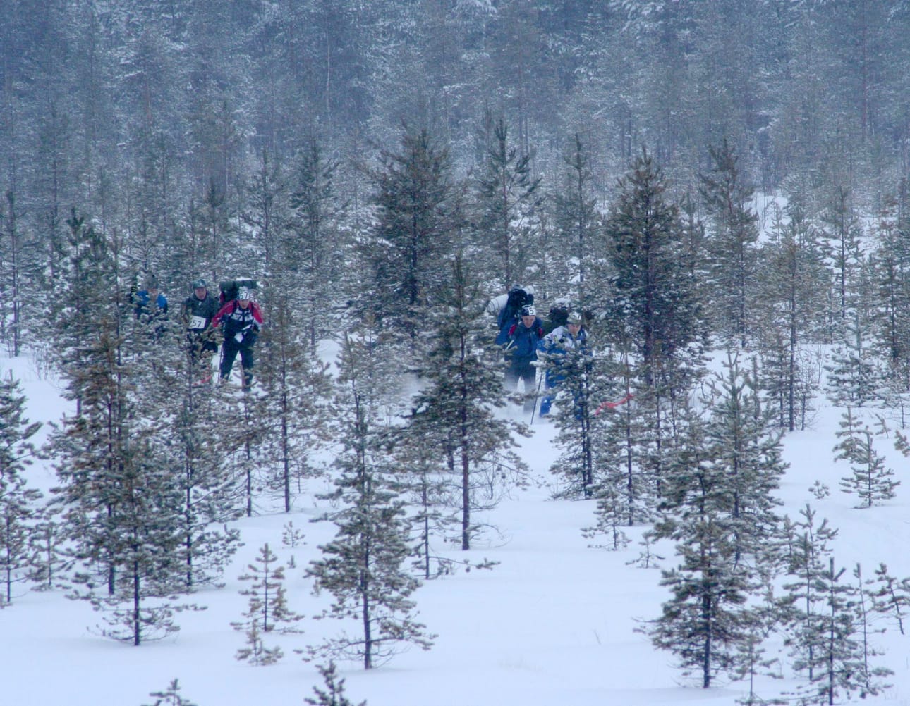 Umpihankihiihdon MM-kisoja on järjestetty vuodesta 1997 lähtien. Kuva vuodelta 2007.