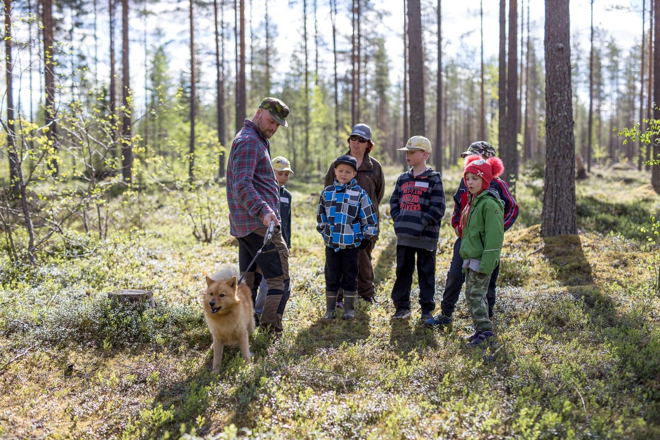 Leirillä oli mahdollisuus tutustua kymmeneen eri metsästyskoirarotuun. Pystykorvan isäntä Risto Ervasti esitteli leiriläisille koiraansa ja koiran kanssa harrastamista.