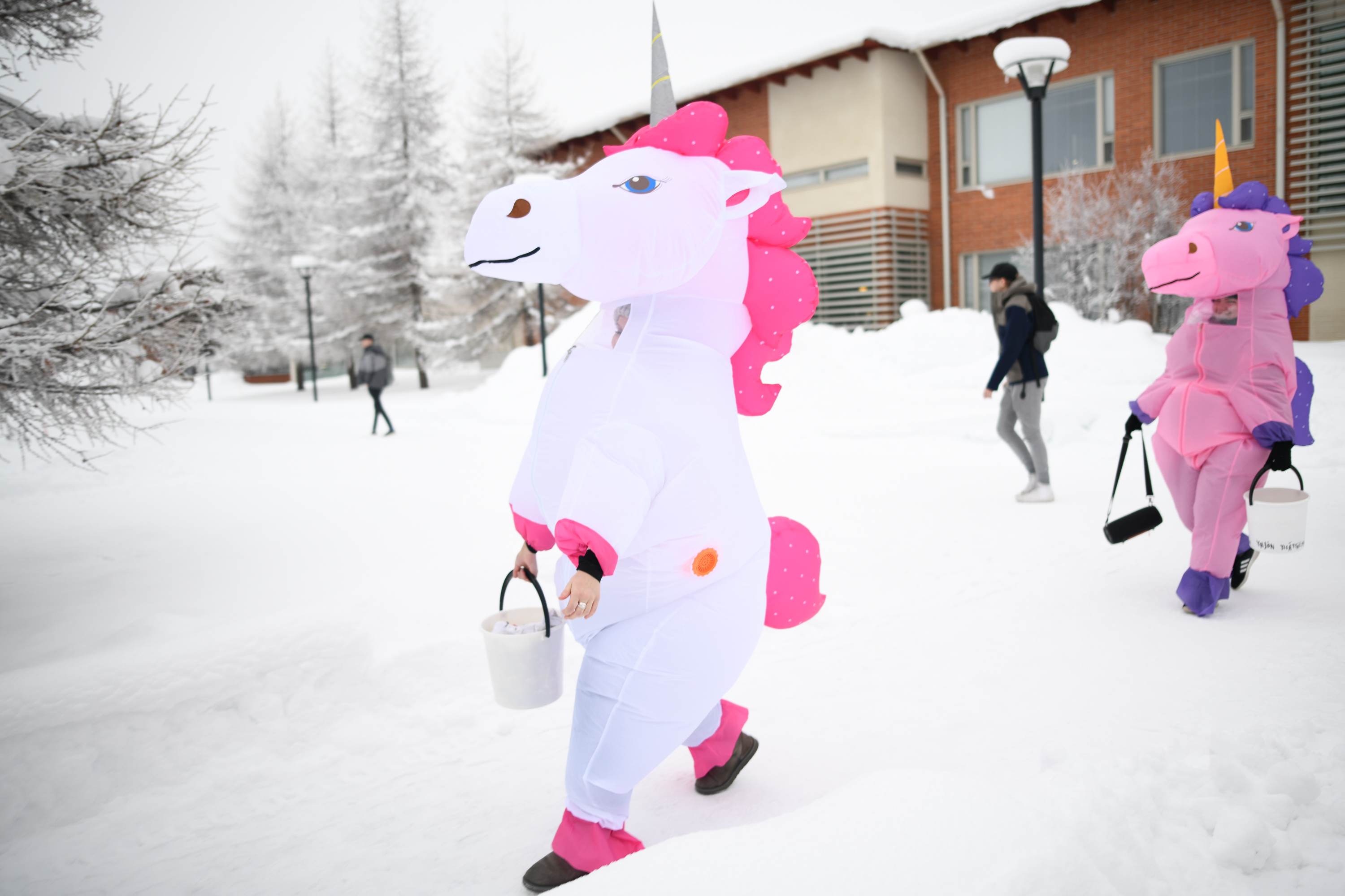 Kuusamon lukiolla liikkui torstaina lukuisia yksisarvisia hahmoja.
