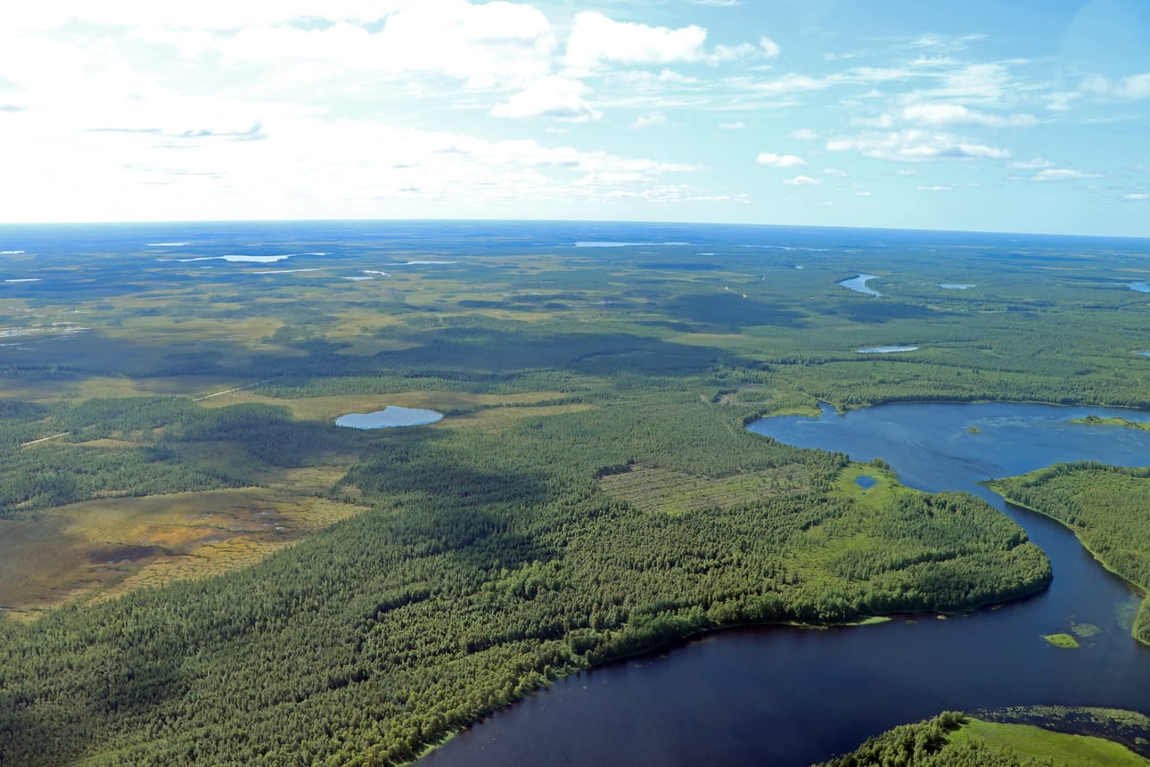Iijoki, metsää ja suota.