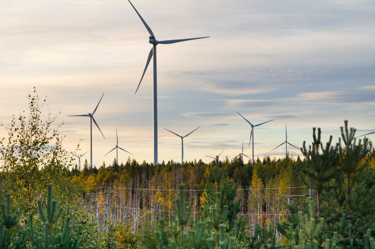 Pohjoisen metsämaisemat ovat saaneet viime vuosina uusia koristeita. Niiden sopivuus jakaa mielipiteitä.