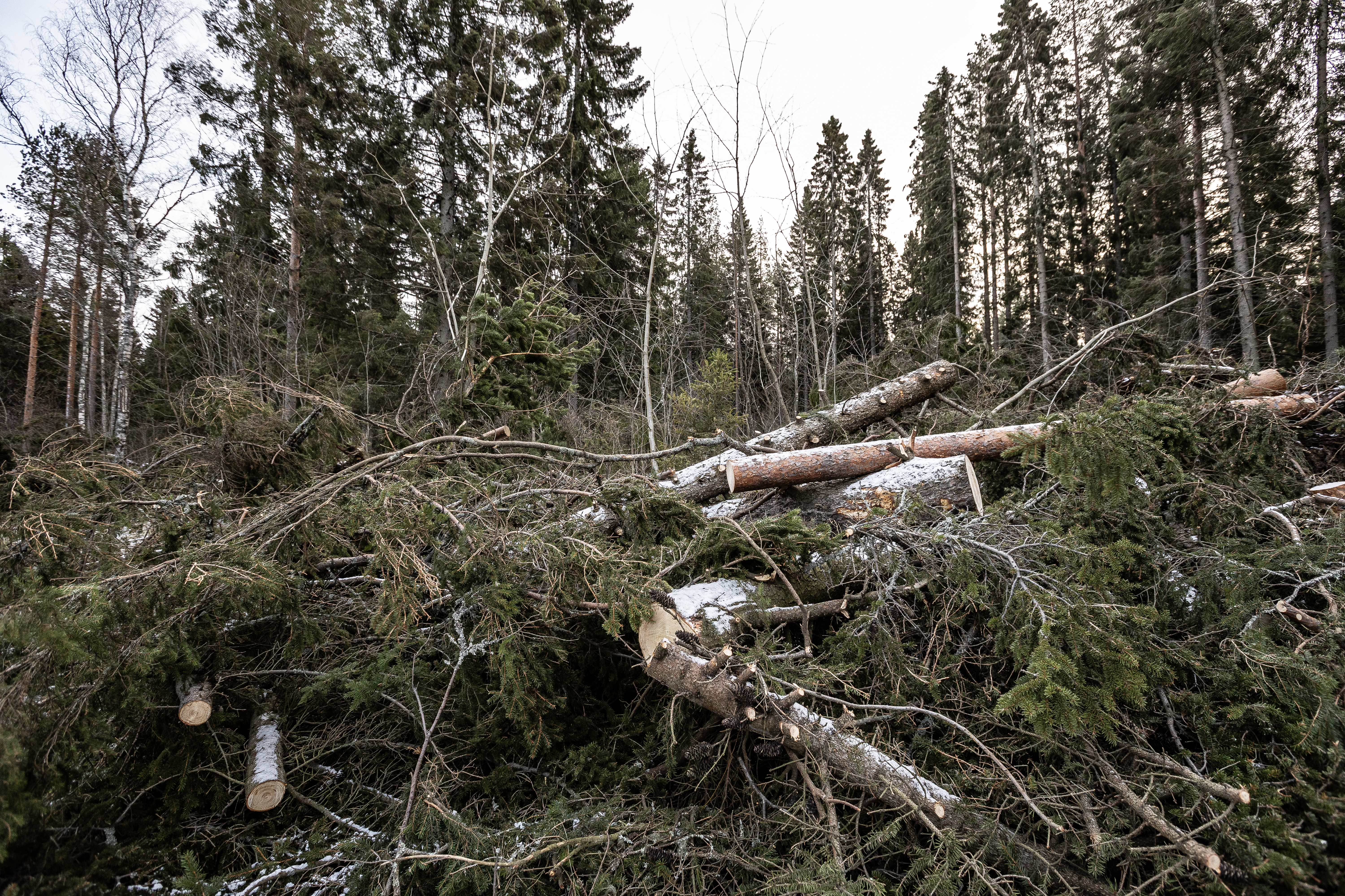 Hannes-myrskyn jälkiä siivotaan Raahessa kesään asti