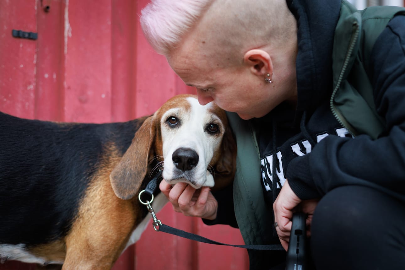 Suomenajokoira Luna on voipunut susihyökkäyksen jälkeen. Omistaja Reetta Piirainen ei ole vielä uskaltanut huokaista helpotuksesta, selviääkö Luna. Toistaiseksi näyttää hyvältä.