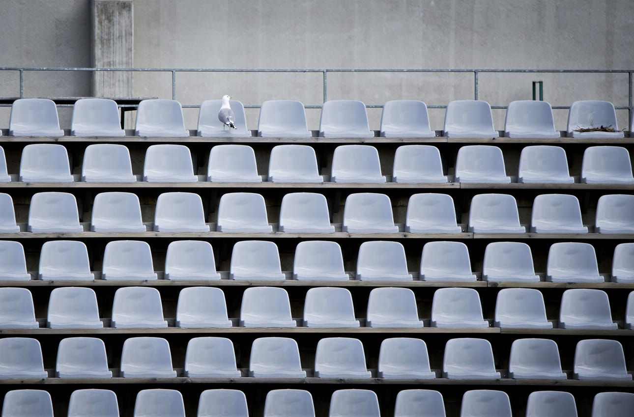 Raatin katsomossa pesivä lokki lennähti välillä pois pesältään. Pesästä paljastui kolme munaa.