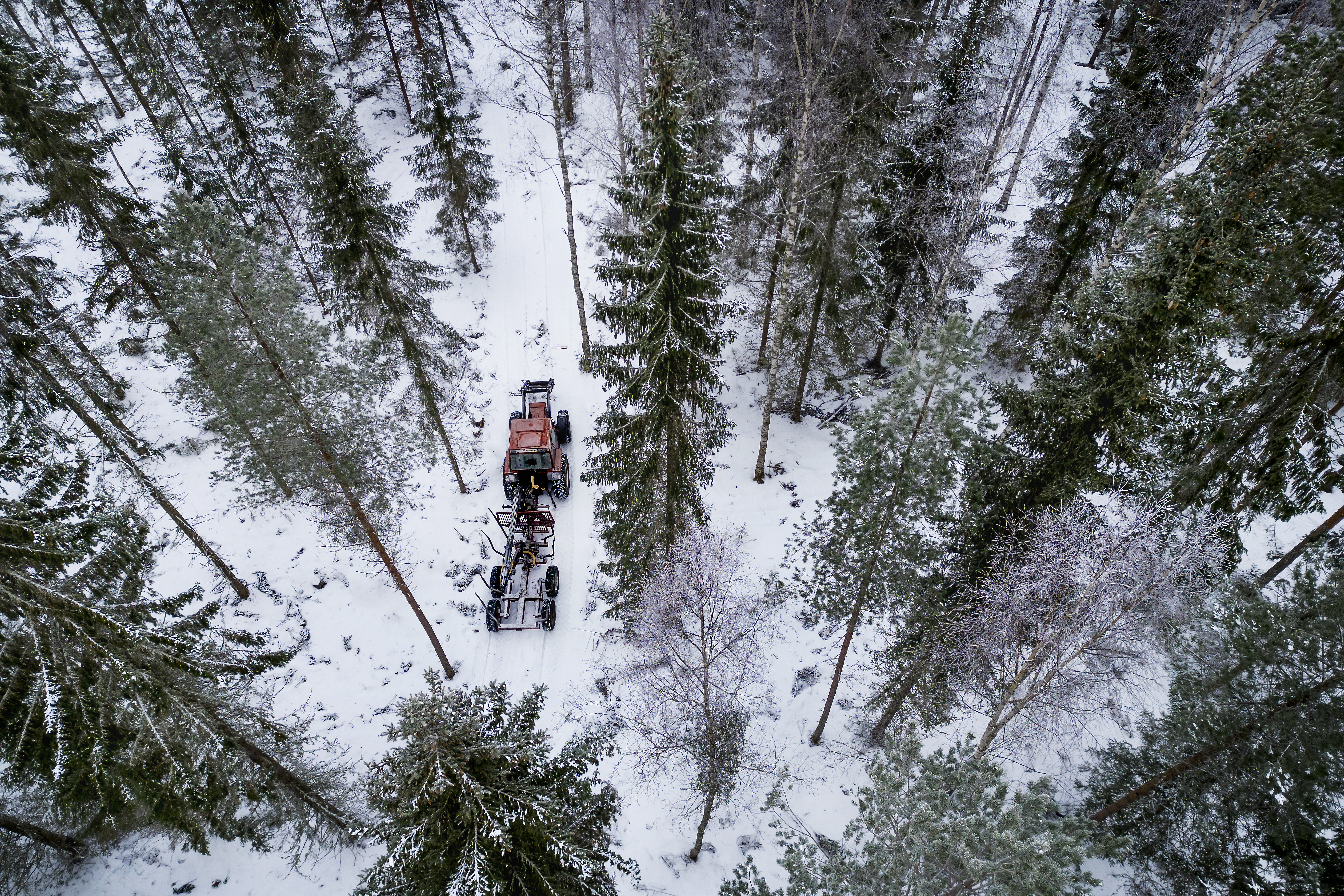 Metsänomistajille maksettavat kelpo korvaukset siivittävät tuulivoimaa nyt myös Seinäjoelle