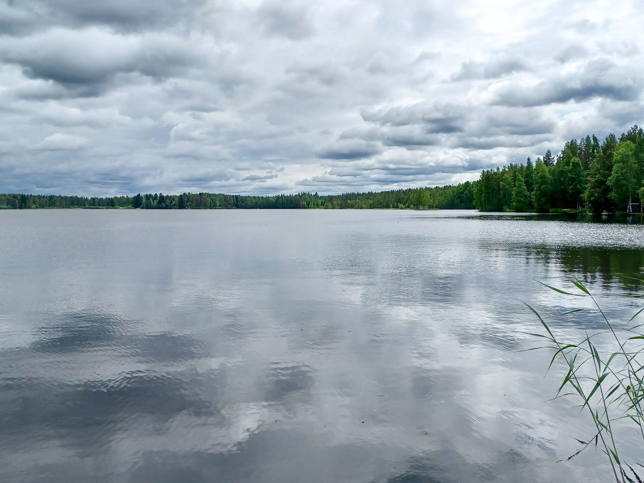 Saukkojärven rantaa pilvisellä säällä.