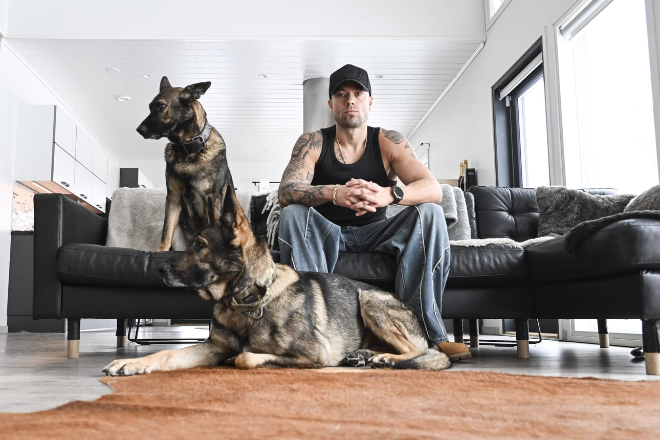 Koirat ovat Matias Petäistölle kaikki kaikessa. Aspen on löytänyt paikkansa sohvalta, Bravo tyytyy makoilemaan kiltisti lattialla.