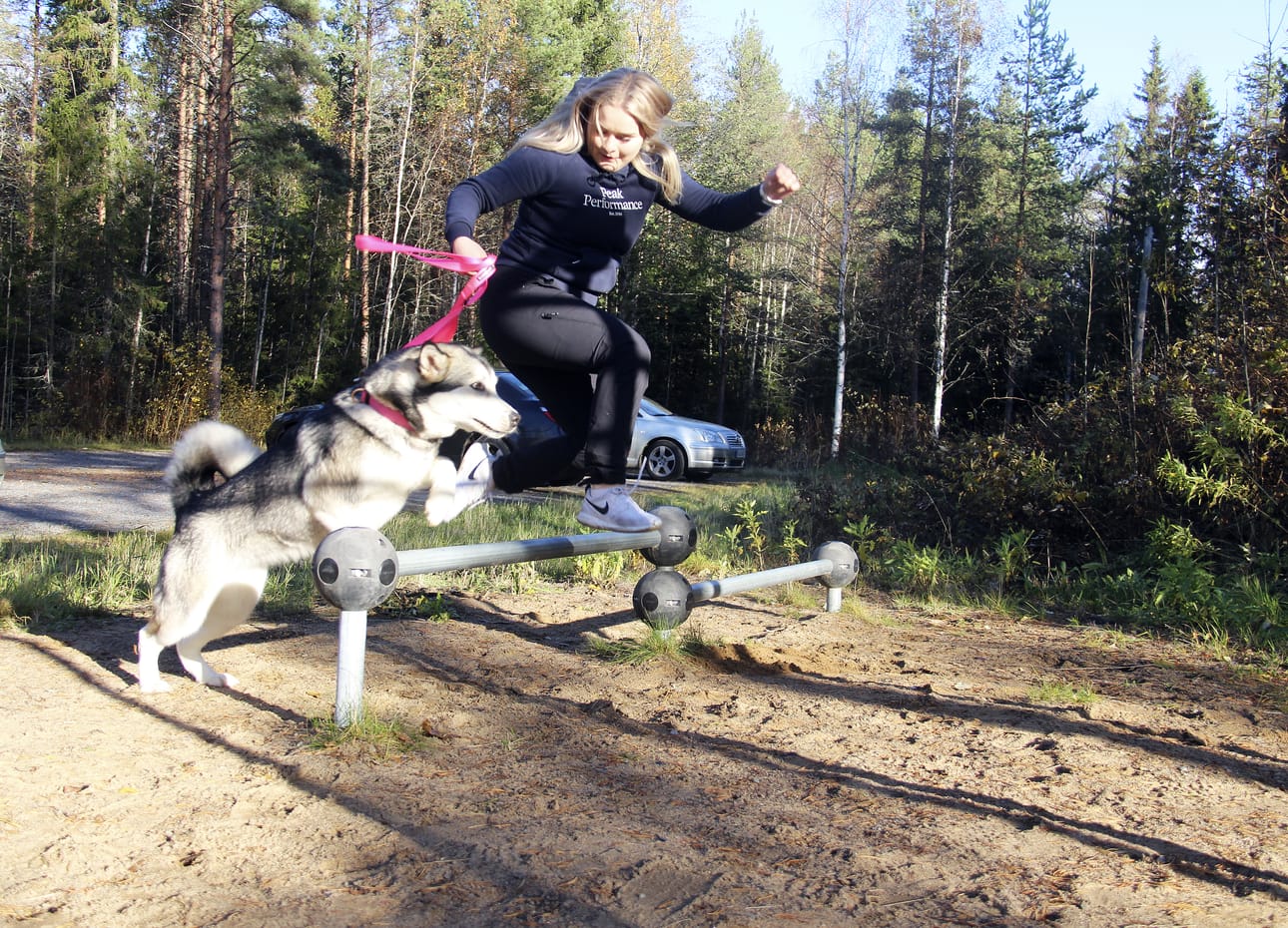 Alaskanmalamuutti Hallan kanssa touhuaminen on harrastus, joka pitää Seena Arvion liikkeessä silloin, kun hän ei ole ohjaamassa eri-ikäisten liikuntaryhmiä.