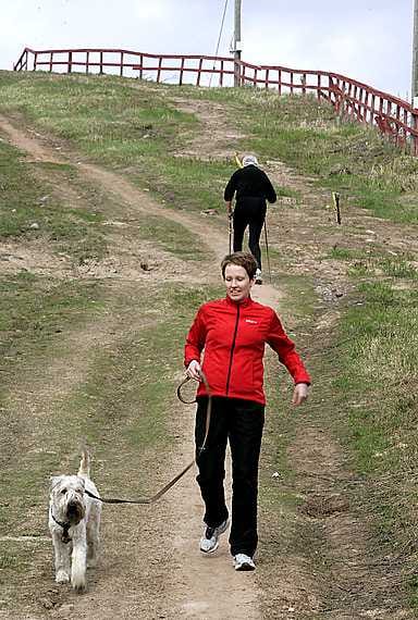 Heli Uimarihuhta juoksee lauantaina elämänsä ensimmäisen puolimaratonin. 5-vuotias vehnäterrieri Jeppe on terhakka lenkkikaveri.