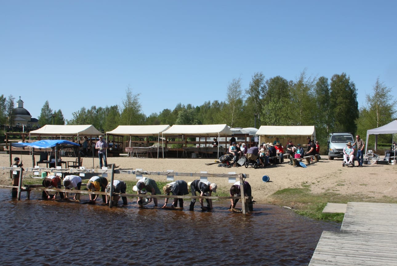 Meijerinlammella on huuhdottu kilpaa kultaa ennenkin, mutta tänä vuonna siellä kisataan ensimmäistä kertaa Pohjoismaiden mestaruuksista.