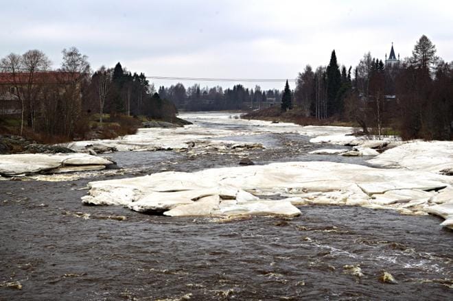 Kuvituskuva vuodelta 2014. Kuva: Jussi Asu