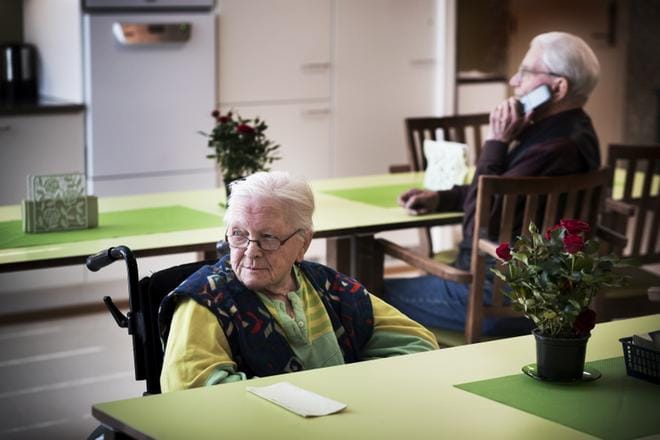 Terttu Rajasaaren ikä on ”sadan seljältä ja kuudenkymmenen kummaltakin kyljeltä”. Monesta työstä leipänsä hankkinut Rajasaari myöntää olevansa ”hiukan suurisuinen”. Hänen takanaan istuu timpuri Juhani Köykkä, jonka suku on rakennuttanut Suomeen satoja taloja. KUVAT: JARNO PELLINEN