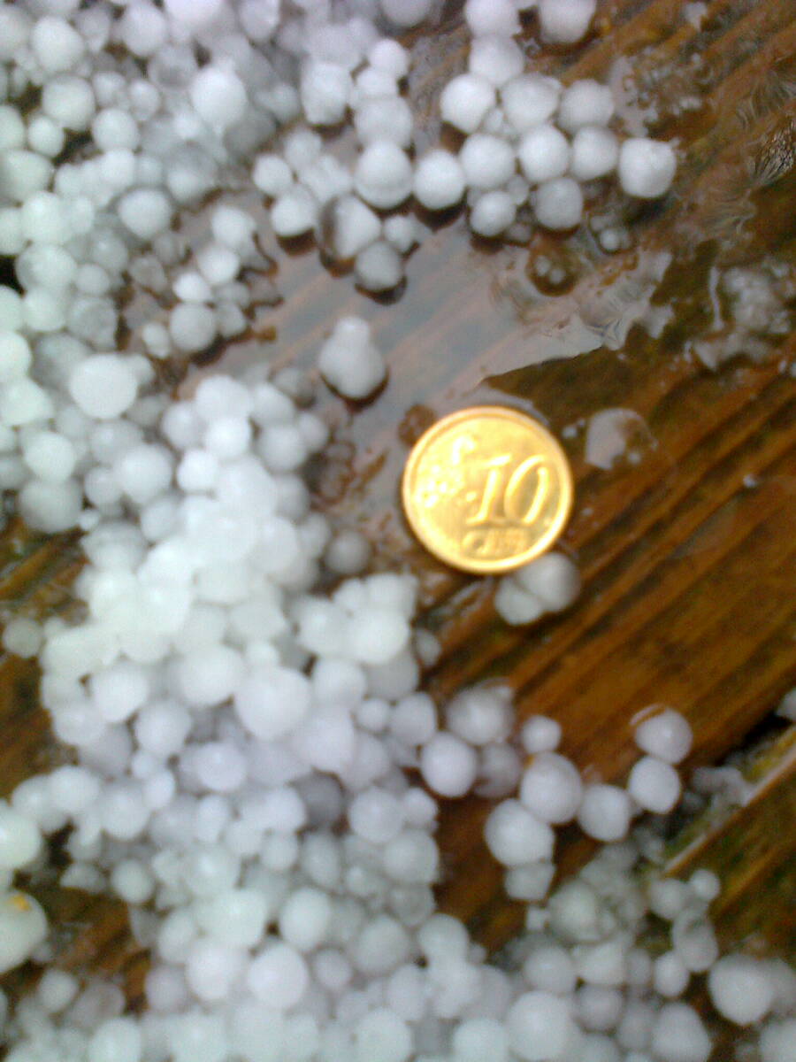 Rakeet olivat isokokoisia. 