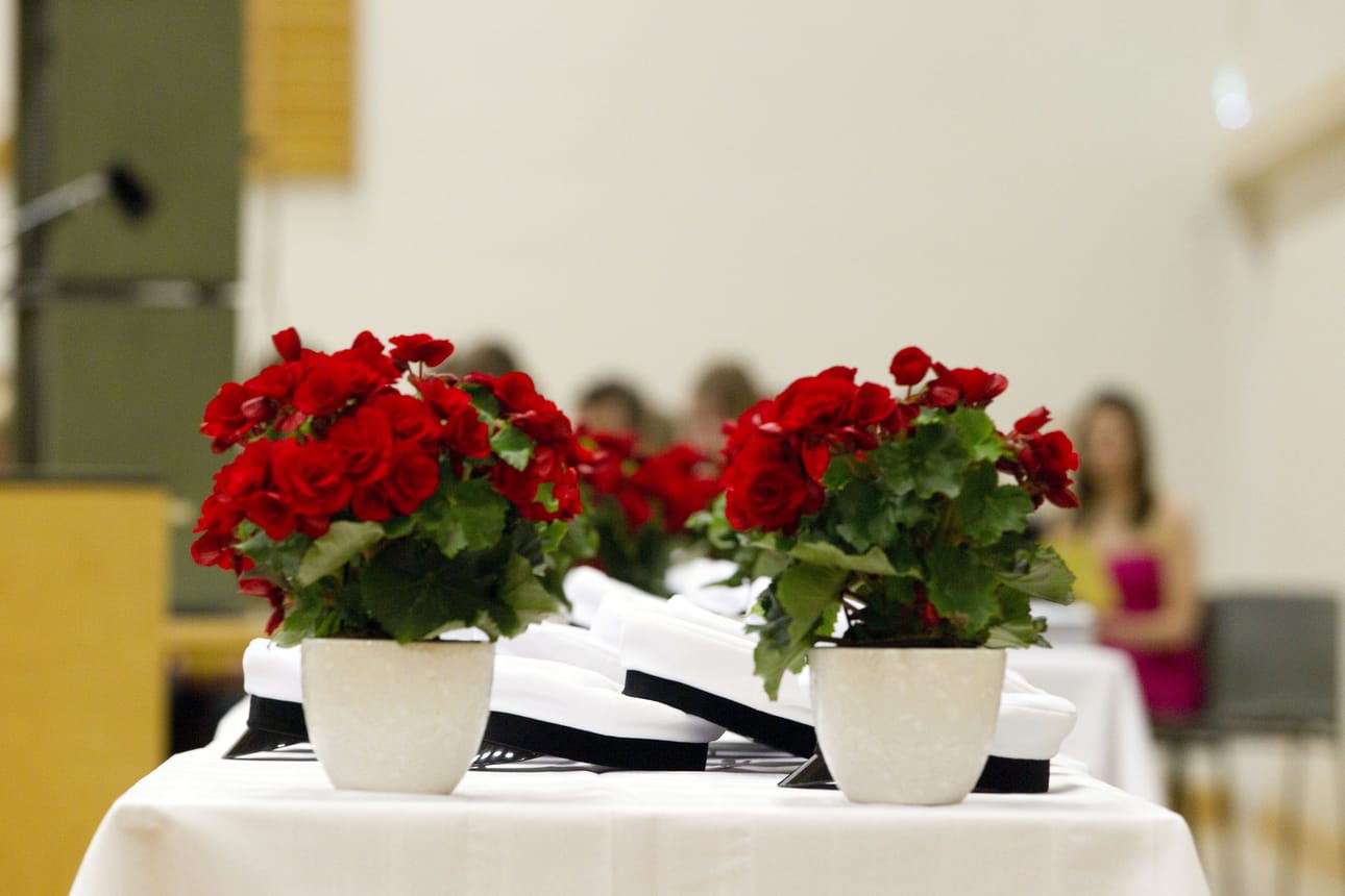 Ylioppilaskokeiden tulokset on lähetetty kouluille.