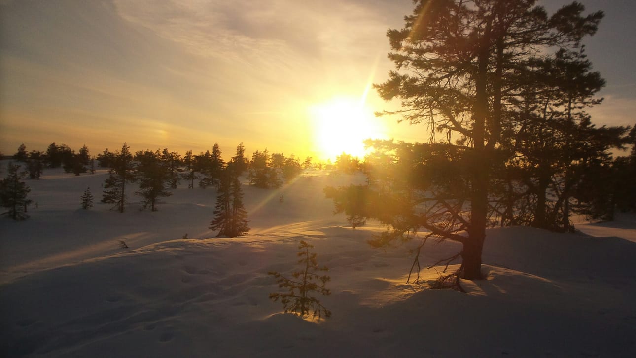 Aurinko laskee Riisitunturilla.