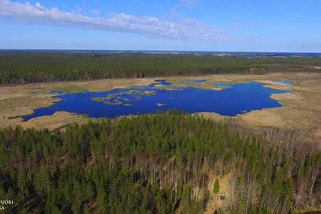 Pääjärven kunnostus tehdään vaiheittain kolmen vuoden aikana. Kuva on otettu tulva-aikaan 2017. KUVA: MIKA HOPIAVUORI