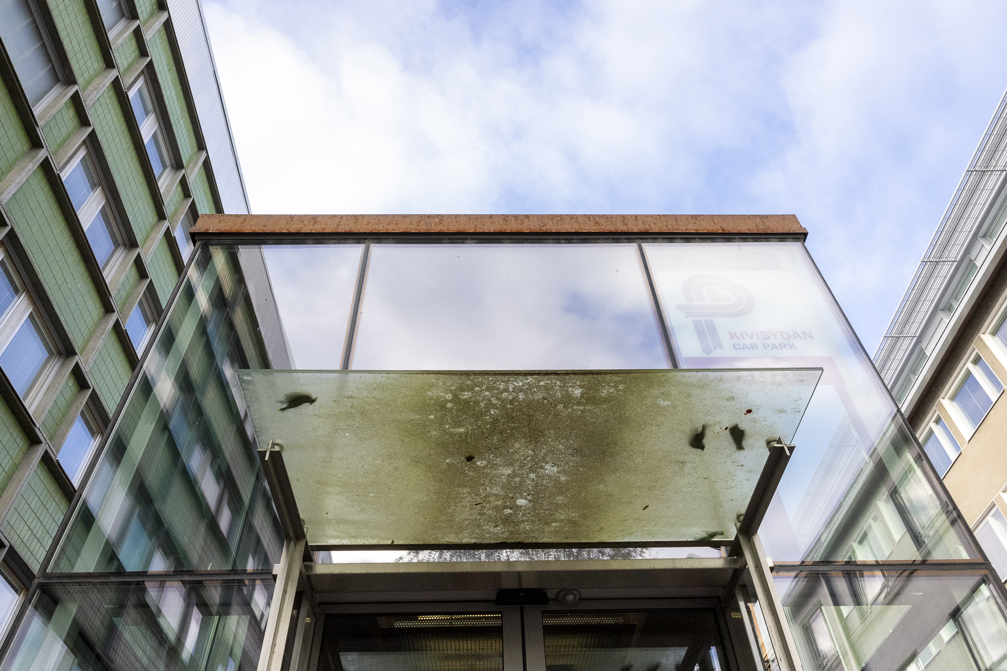 Miljoonia lintuja kuolee Suomessa joka vuosi ikkunoihin – asiantuntijan mukaan ongelman mittakaavaa ei osata hahmottaa