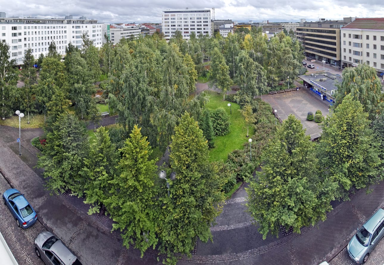 Silminnäkijän mukaan pariskunta harrasti seksiä välittämästä sivullisista.