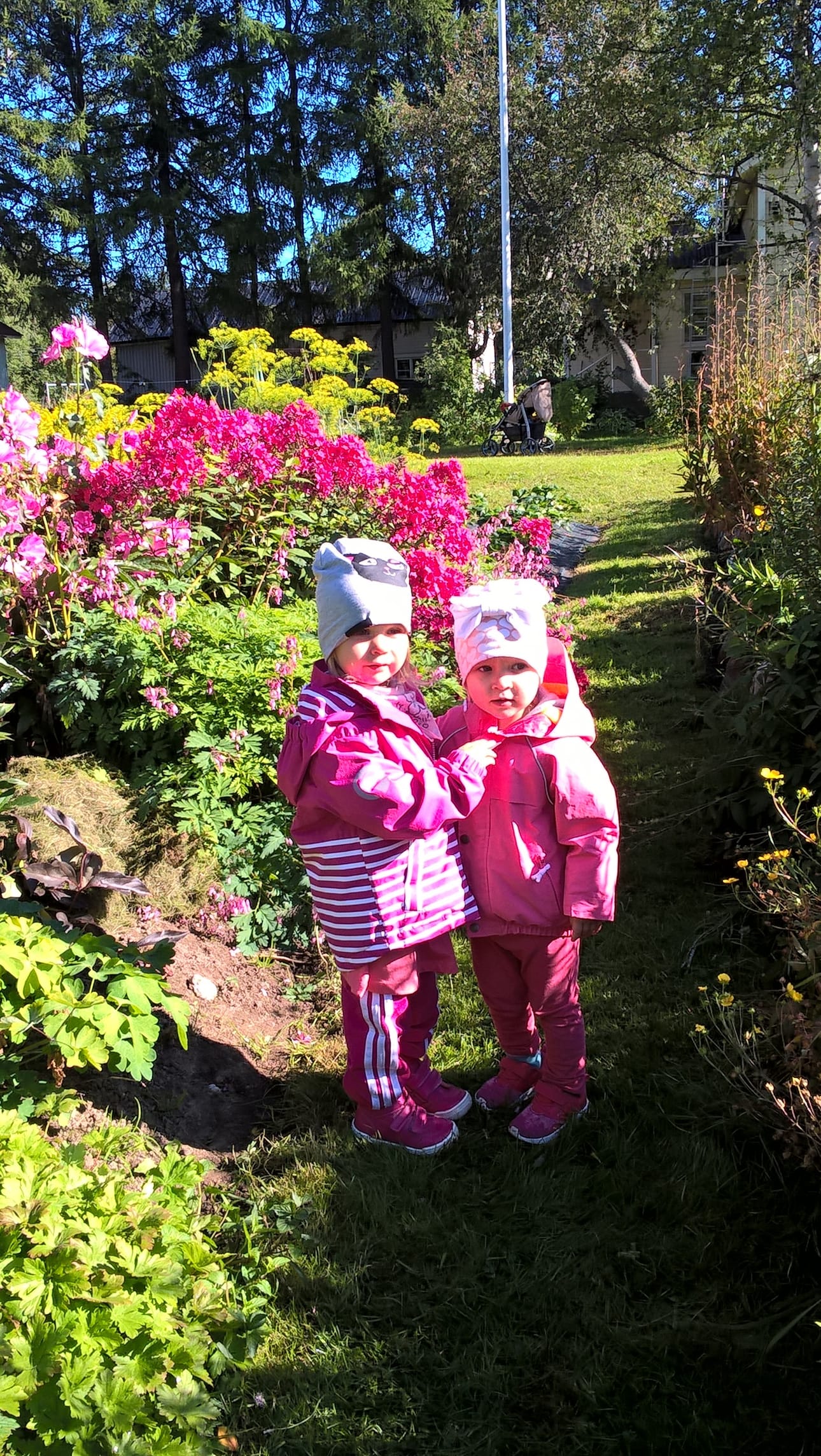 Pinkkiä sen olla pitää! Hei, Ada, Valma ja mummo tykkäävät kukista ja niinpä pyydettiin lupa tulla ihastelemaan upeaa kukkaloistoa Ouluntaipaleelle. Kiitos kauniista pihasta ja varsinkin pinkeistä kukista, auringonkukista ja traktorista.