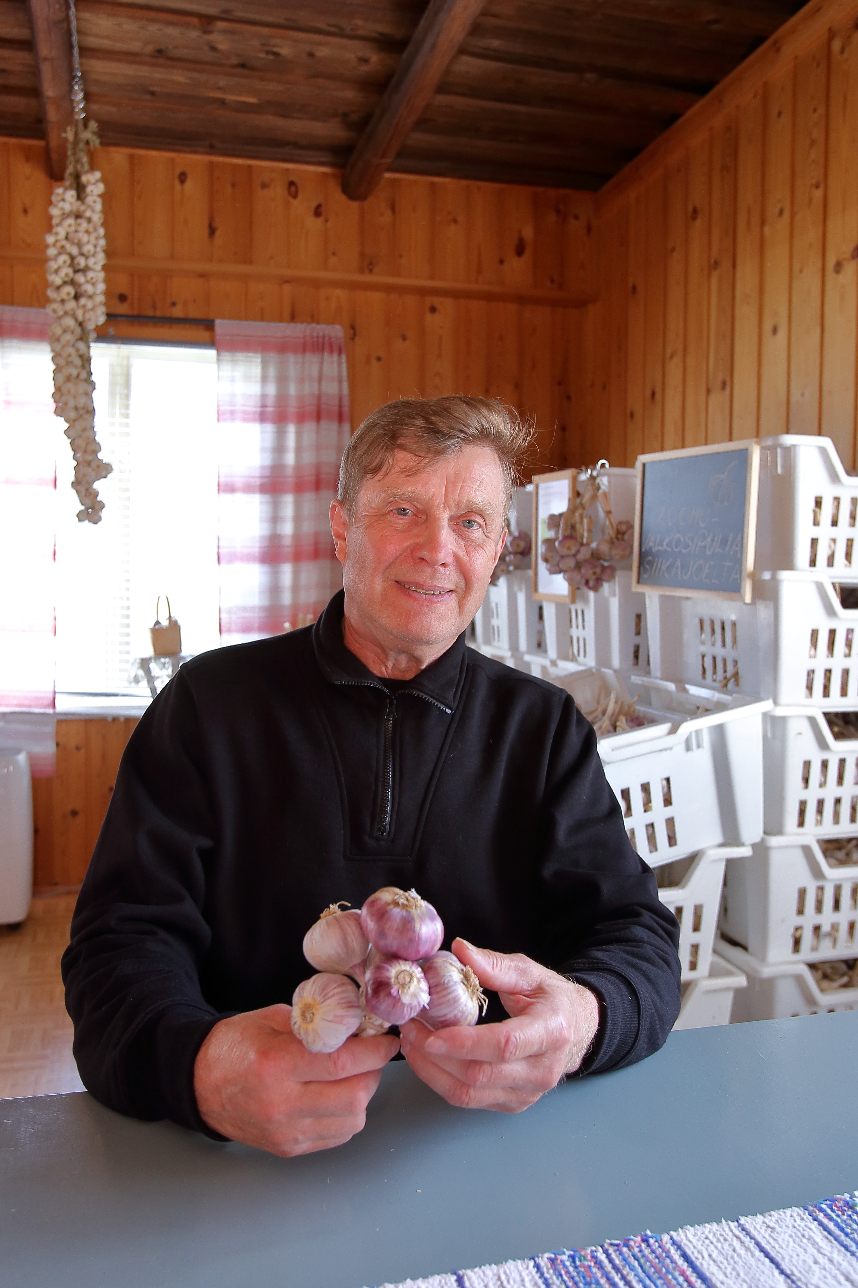 valkosipuli, luomuvalkosipuli, Matti Kuorilehto