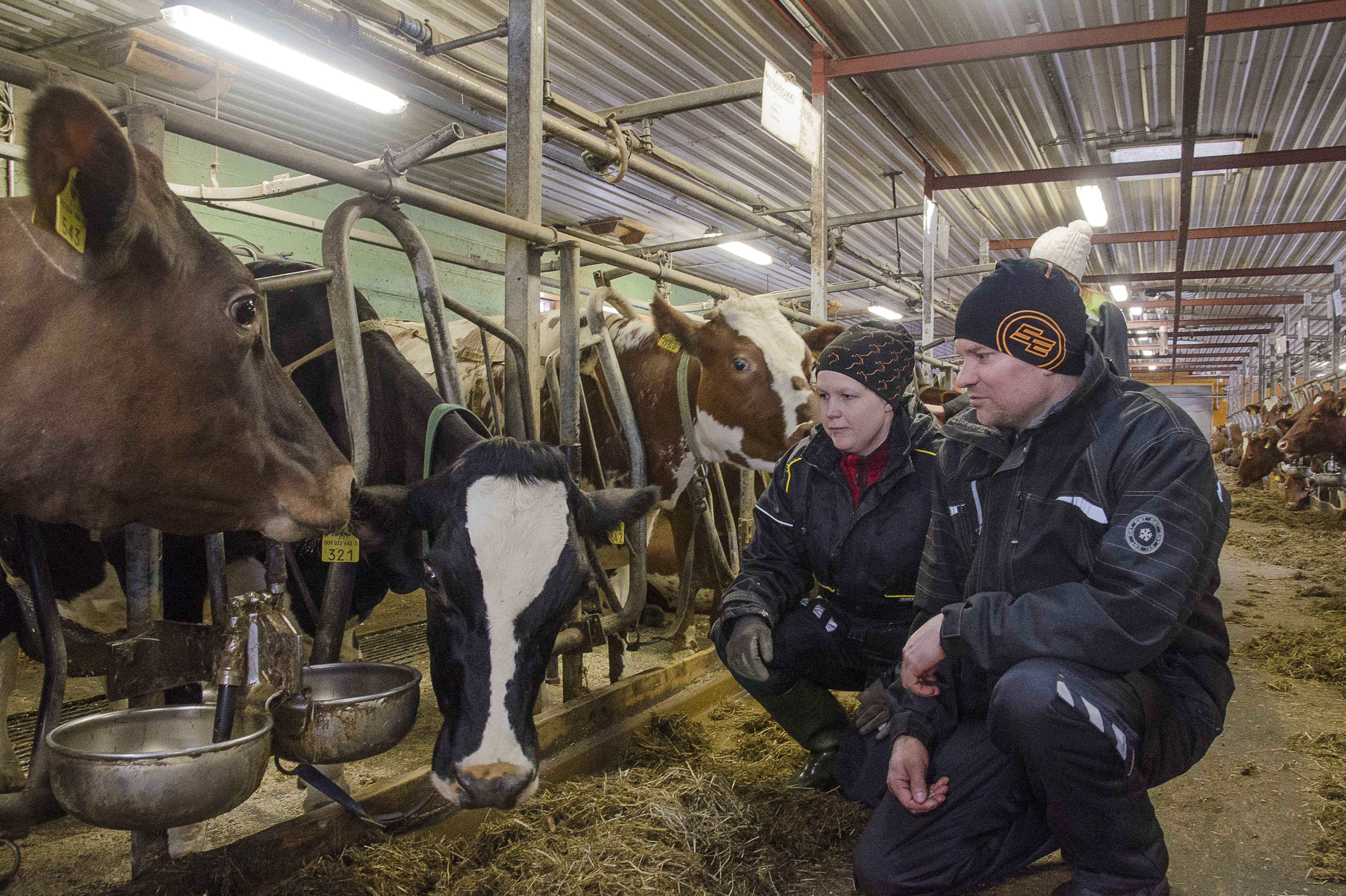 Mustavalkoinen Yökkö on yksi Jukka ja Laura Kämäräisen 100-tonnareista. Se on hyväluontoinen ja helppolypsyinen luomunupo.