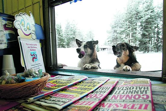Raimo (vas.) ja Pentti joutuvat grillireissuillaan turvautumaan ilmaisiin makupaloihin. Sekarotuisilla veljeksillä kun harvoin on käytössään rahaa tai lompakkoa, taskuista puhumattakaan.