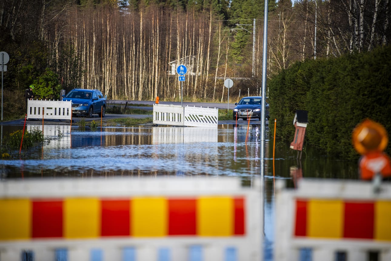 Kirjoittajan mukaan jokivarren metsittymiselle on korkea aika tehdä jotain, jottei tulvatilanteesta tule toistuva.