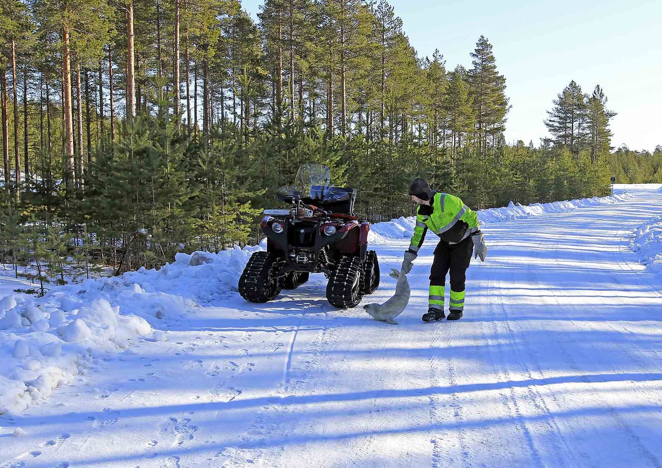 Poikanen kuljetettiin mönkijällä takaisin lähtöpisteeseen.