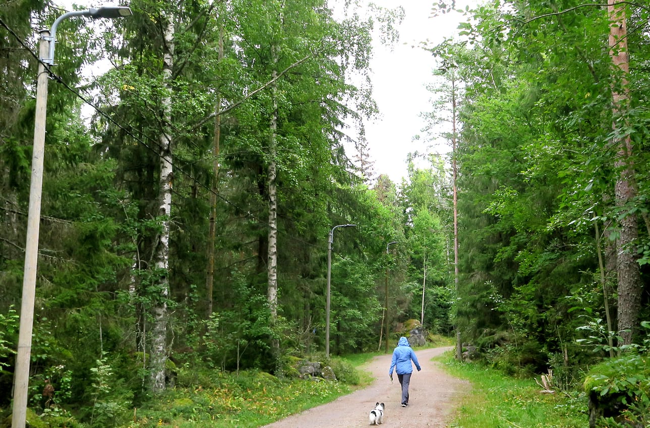 Vaasassa on vaihdettu sekä sisä- että ulkoliikuntapaikkojen valaisimia sähköä säästäviksi led-valaisimiksi. Urakka jatkuu edelleen.
