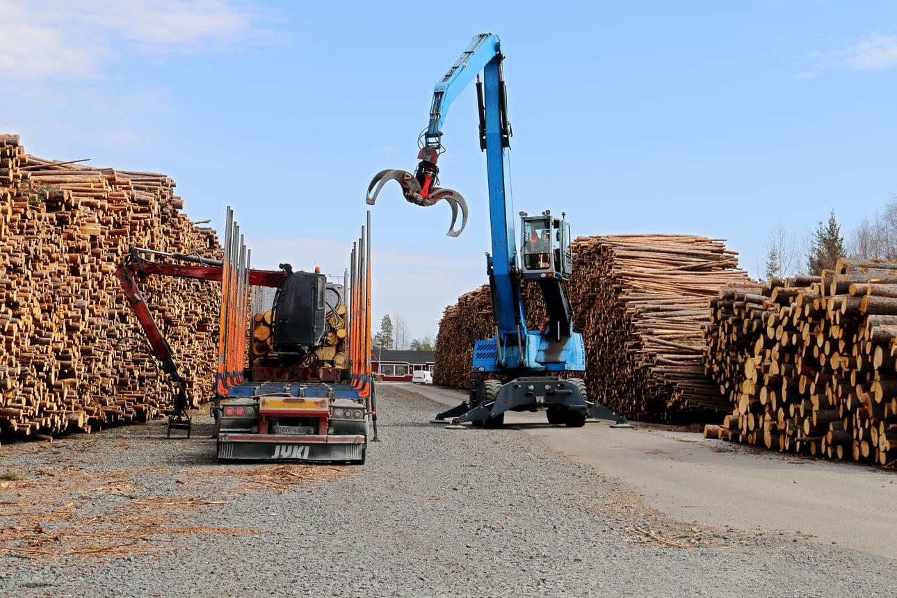Metsä Group ostaa puuta normaalisti, vaikka Kemin biotuotetehdas seisoo – kesäkuun lopussa jätin pitäisi pyrähtää taas käyntiin