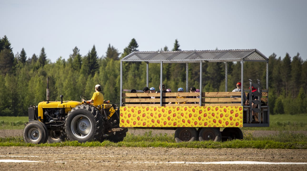 Kesällä Lännentila kerää Lumijoelle kymmeniätuhansia kävijöitä maatilatoimintaan liittyvillä aktiviteeteilla.