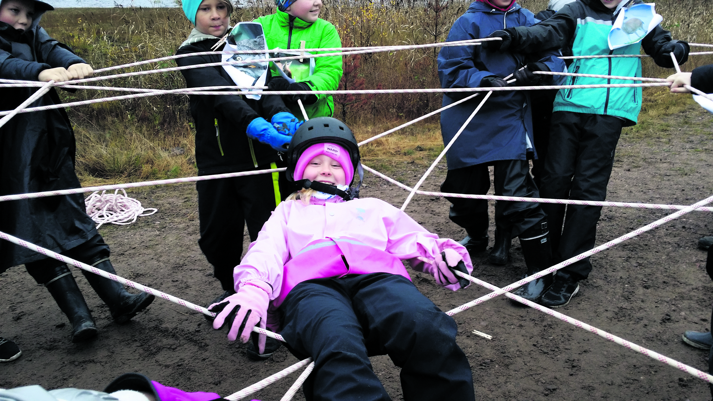 Ekologinen verkko kannattelee, kun kaikki osa-alueet ovat kohdallaan.