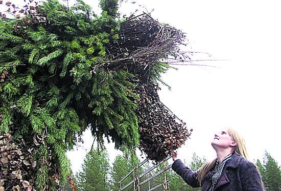 Tipasojan kyläläisten tekemä risupukki kestää isonkin miehen. Jouko Sormunen on pukin pääsuunnittelija.