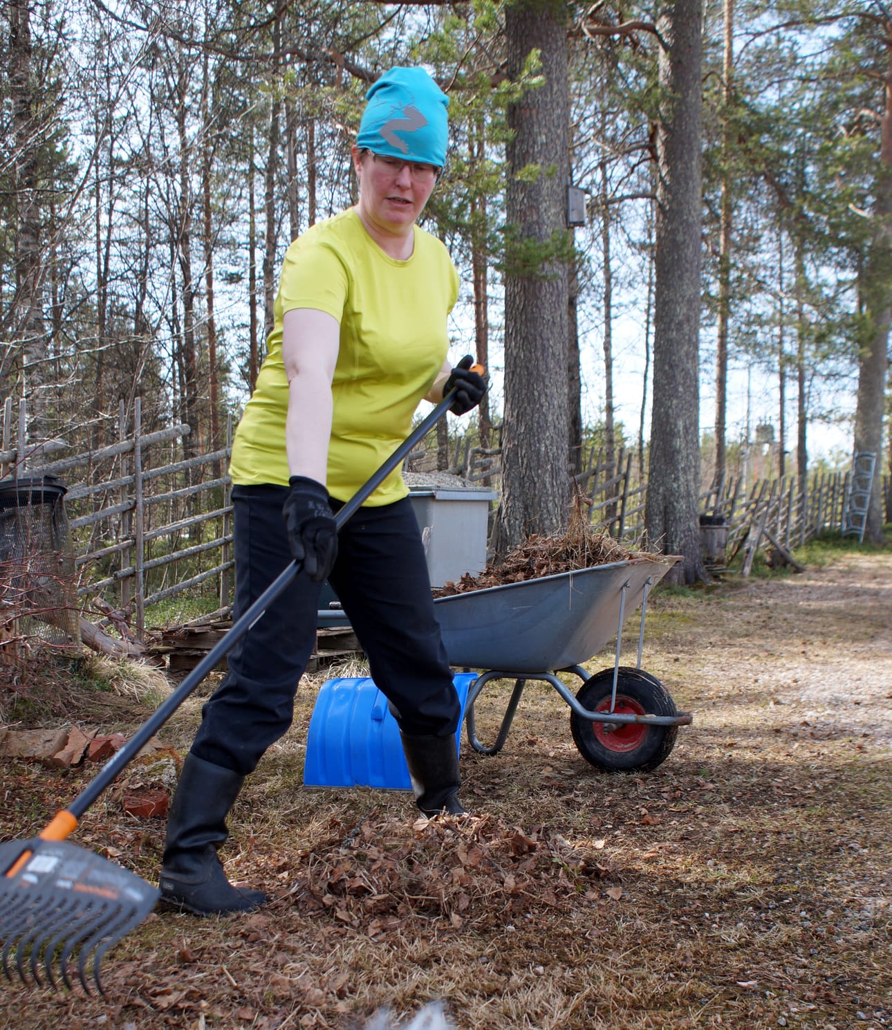 Haapalassa pihaansa rapsuttanut Jaana Anttila kiitteli kissojaan siitä, että myyrätuhojen jäljet eivät kovin suurta urakkaa tuoneet.