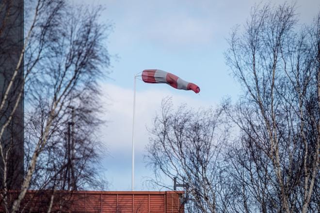Kuvituskuva. Kuva: Paula Kaskimaa