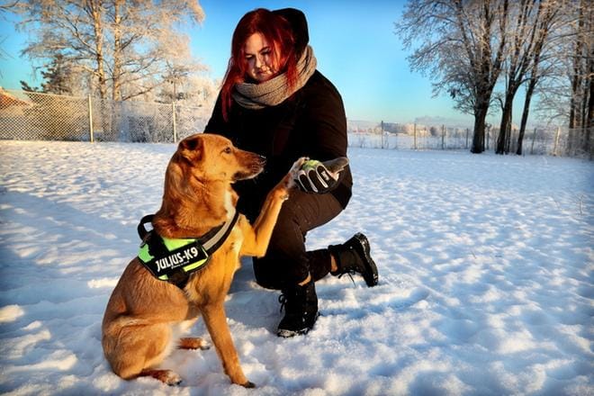 Riina Pesu ja Nelli-koira ovat viettäneet nyt yhteistä elämää seitsemisen kuukautta. Pesu sanoo olevansa onnekas, että sai näin parhaan karvaisen ystävän. KUVA: JOUKO HÄNNINEN