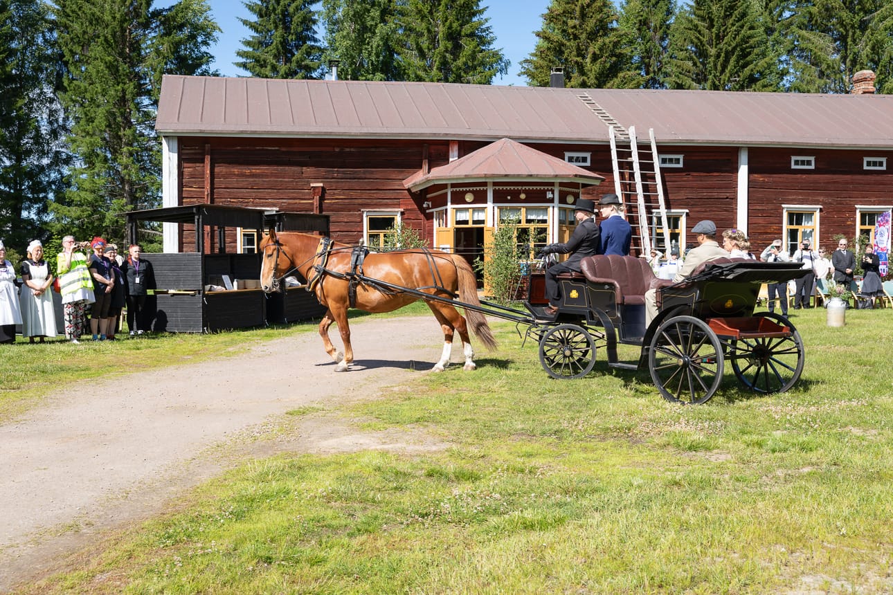 Hääpari saapui pihaan omalla hevosella.