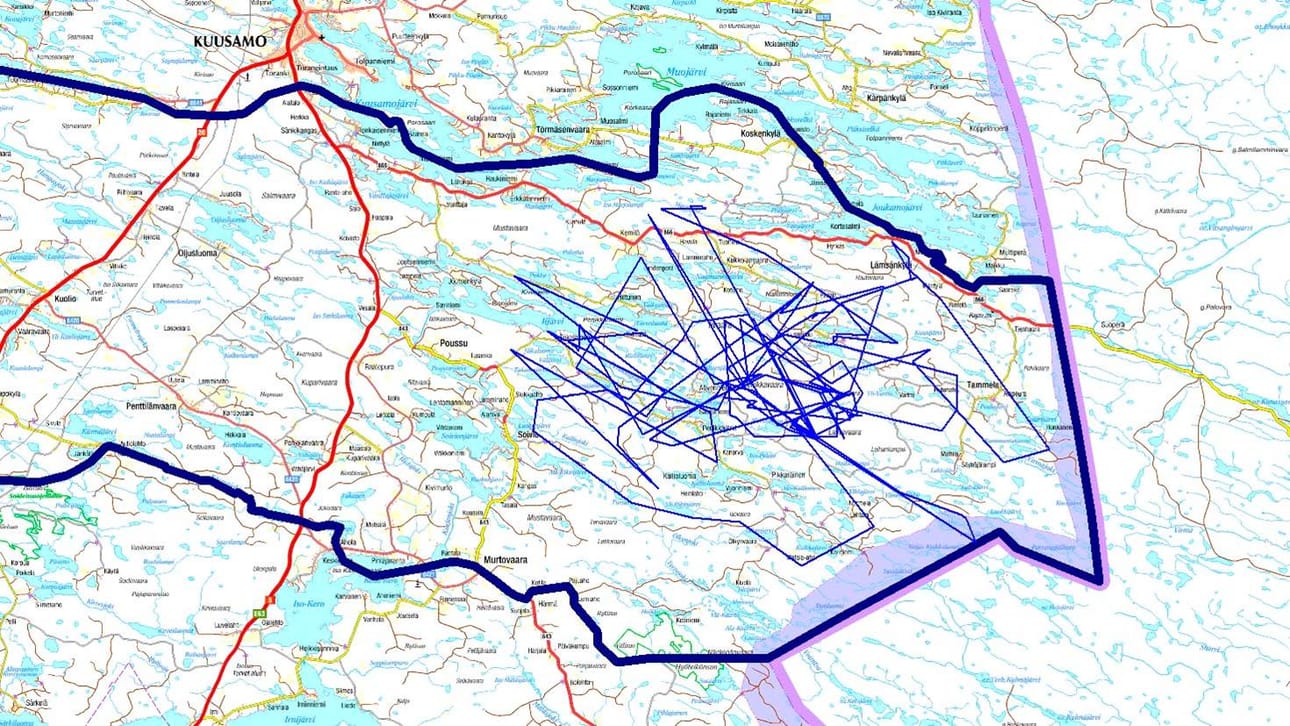 Ornitologi Olli-Pekka Karlin asensi Tytti-kotkan selkään satelliittilähettimen valjastaen sen Heikki Härmän paliskunnan apuriksi.