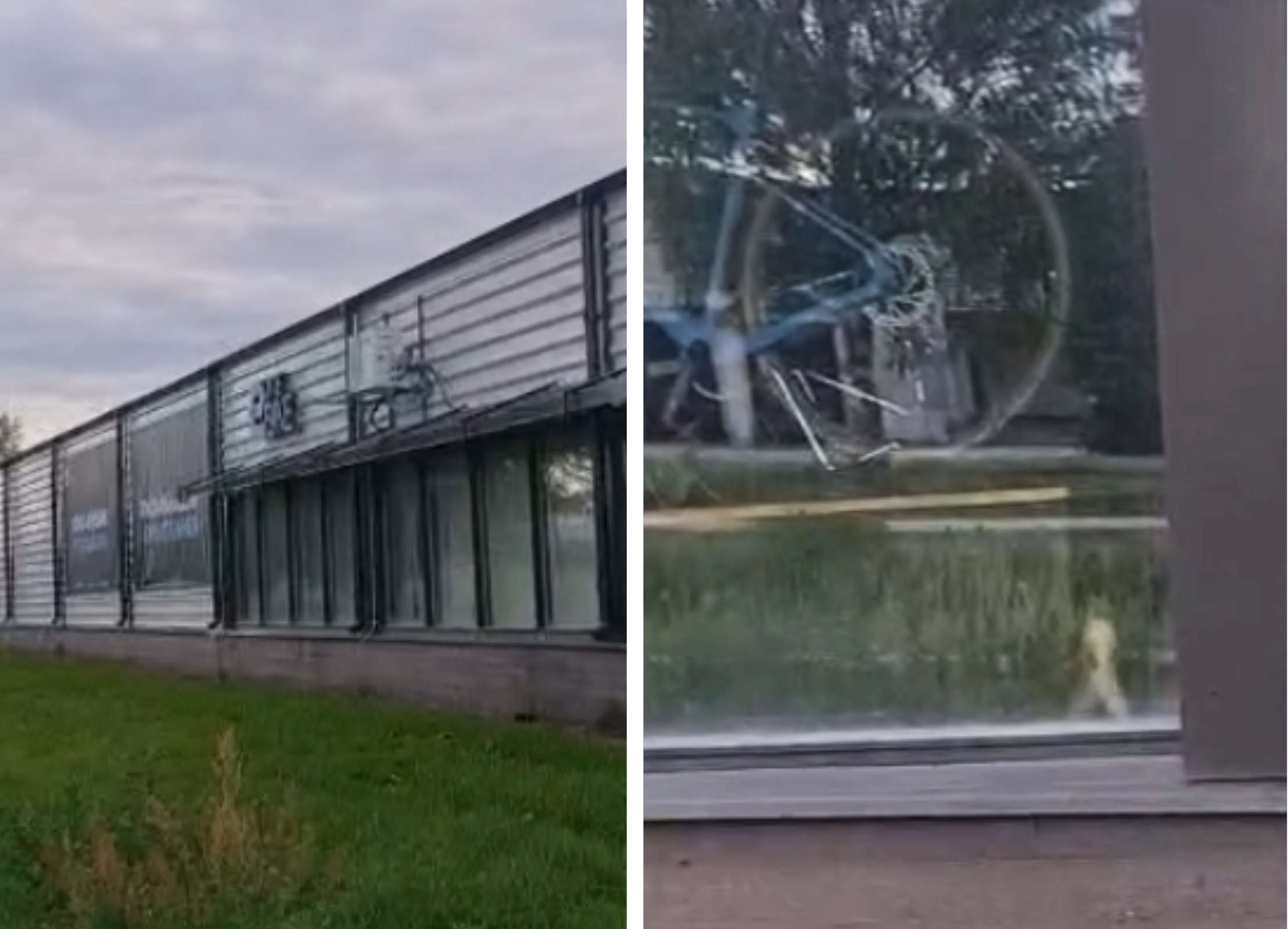 Katso video: Orava jäi jumiin pyöräliikkeen sisälle Seinäjoella